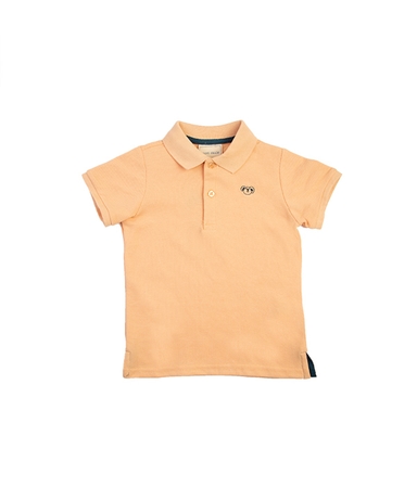 product-color