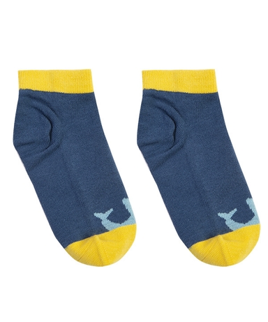 product-color