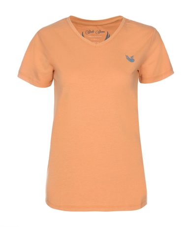 product-color