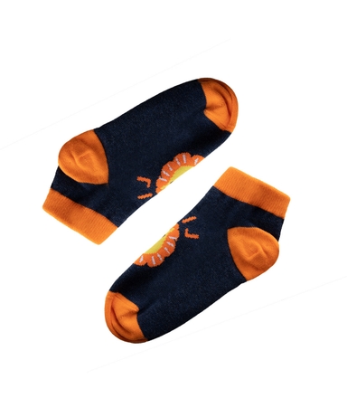 product-color