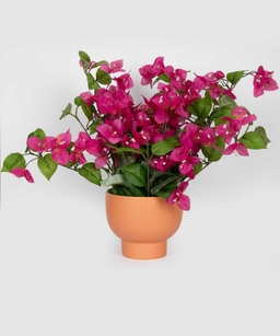 product-color
