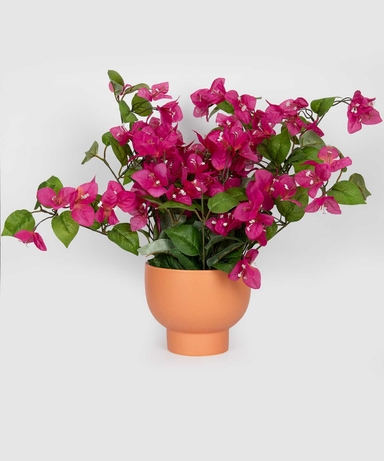 product-color