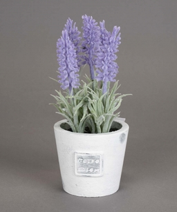 product-color