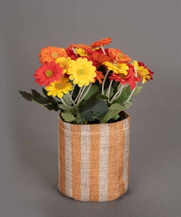 product-color