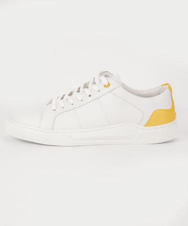product-color