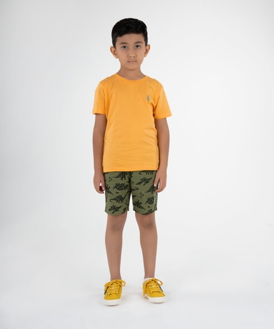 product-color