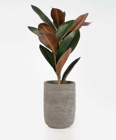 product-color