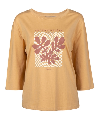 product-color