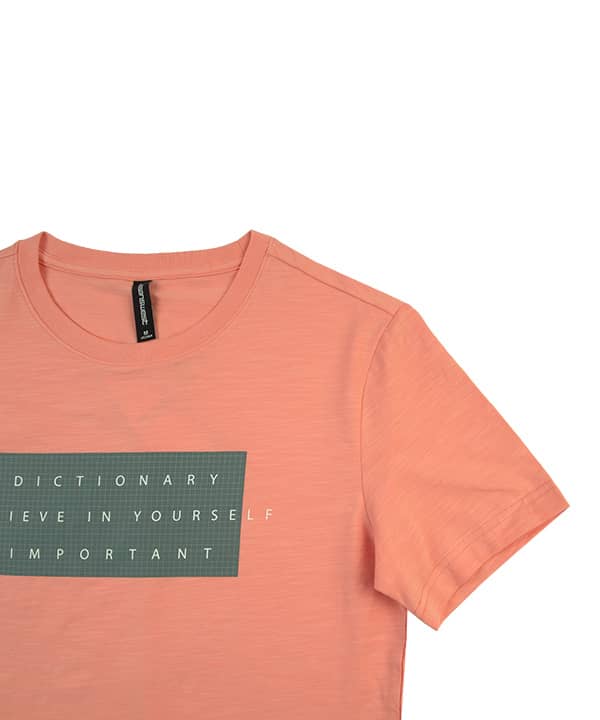تیشرت مردانه چاپی جین وست Jeanswest - 2