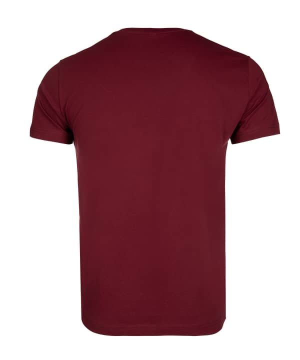تیشرت مردانه یقه گرد جین وست Jeanswest - 1