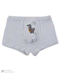 شورت  پسرانه جین وست مدل 44C98981 بسته 2 عددی - 4