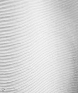 شال  زنانه جوتی جینز مدل 43978224 - 1