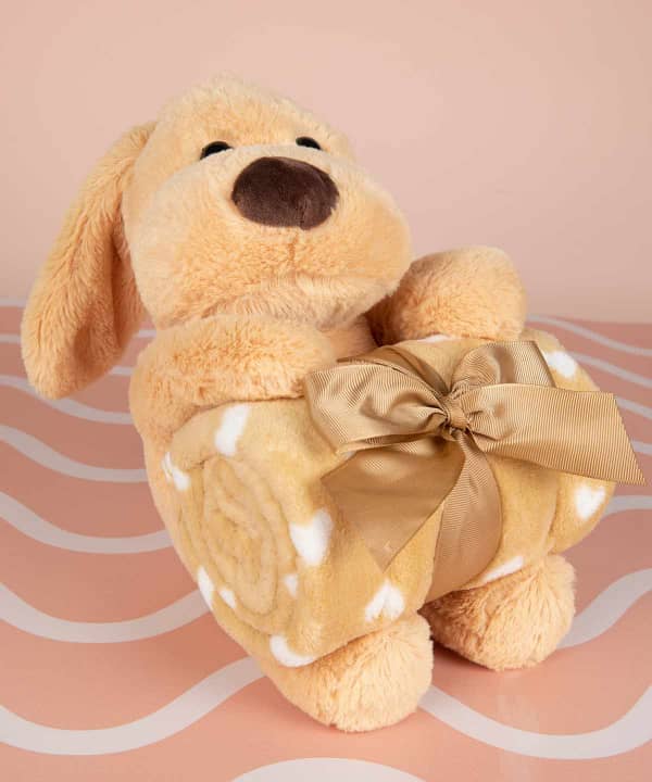 عروسک و پتو نوزاد دکو Deco مدل Dog - 1