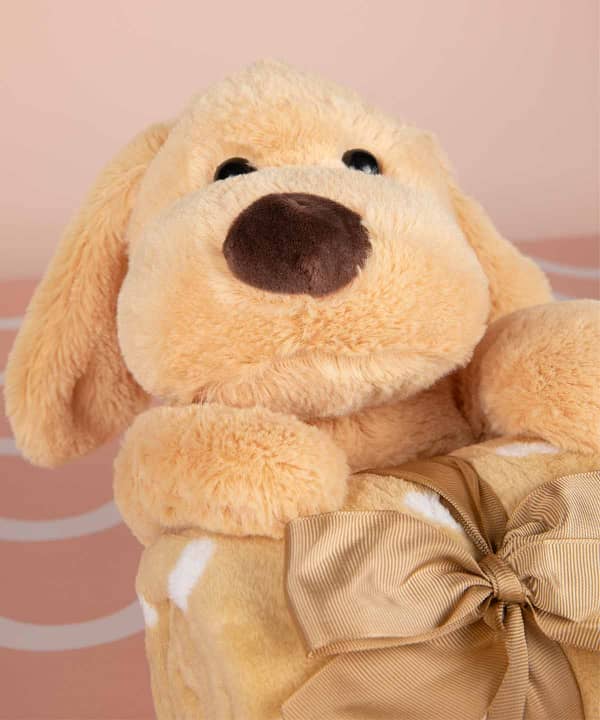 عروسک و پتو نوزاد دکو Deco مدل Dog - 3