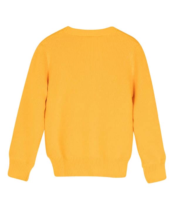 پلیور پسرانه جین وست Jeanswest کد 94591845 - 1