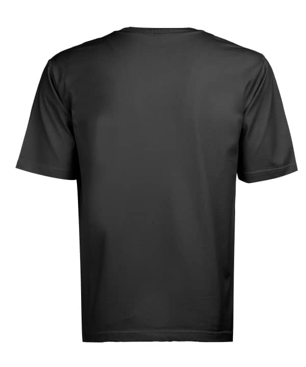 تیشرت یقه گرد مردانه جین وست Jeanswest کد 02173525 - 6
