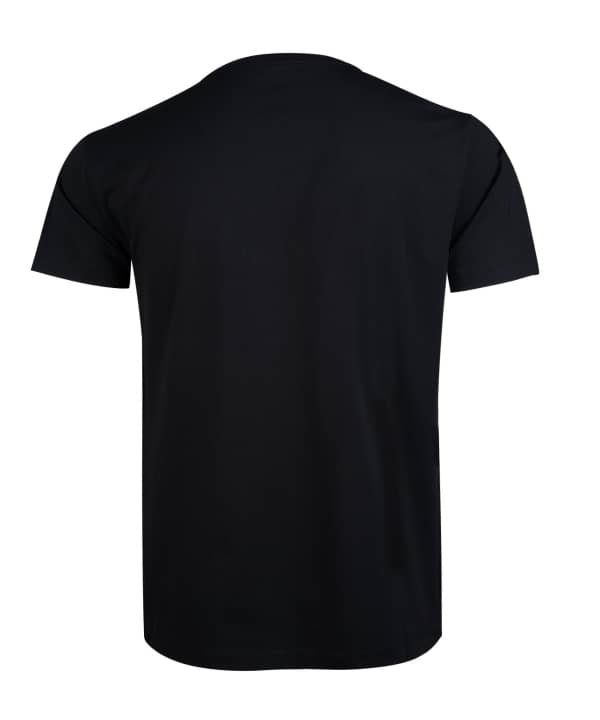 تیشرت طرح دار مردانه جین وست Jeanswest کد 02173557 - 1