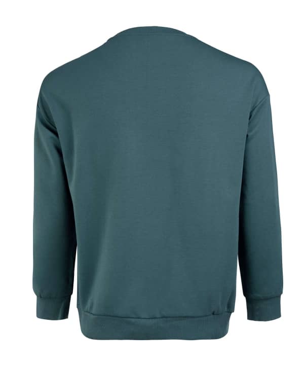 سویشرت نازک مردانه جین وست Jeanswest کد 13171519 - 2