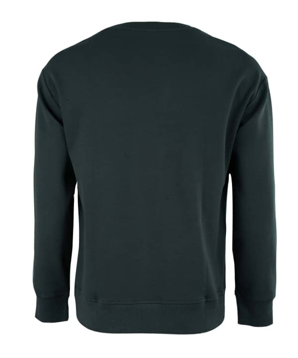 سویشرت مردانه جین وست Jeanswest کد 13171515 - 1