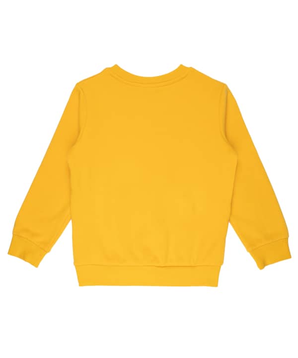 سویشرت یقه گرد پسرانه جین وست Jeanswest کد 03571543 - 3