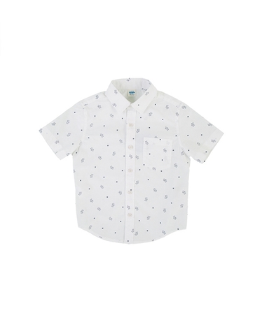 product-color