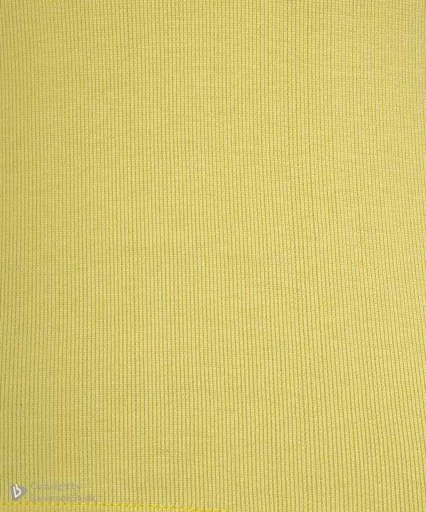تاپ زنانه جوتی جینز JootiJeans کد 41773220 - 2