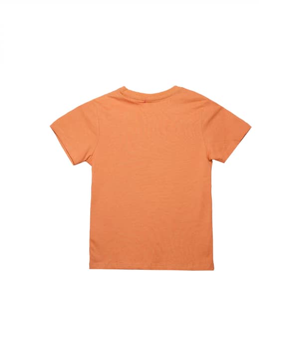 تیشرت یقه گرد پسرانه جوتی جینز JootiJeans کد 01073101 - 1