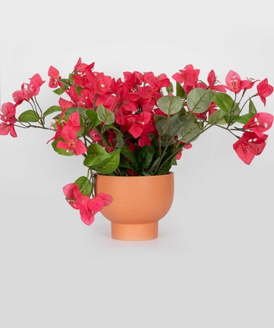 product-color