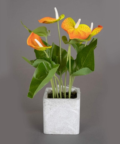 product-color