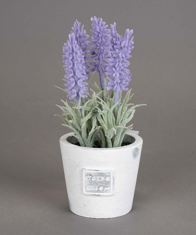 product-color