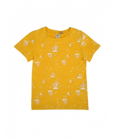 product-color