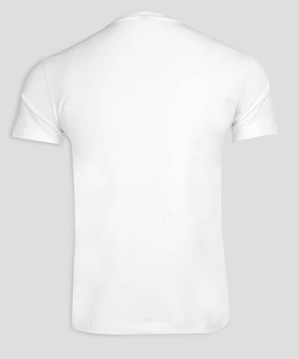 تیشرت طرح دار مردانه جین وست Jeanswest کد 02173557 - 1