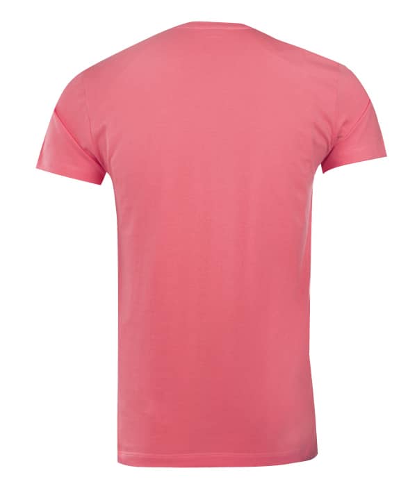 تیشرت یقه گرد مردانه جین وست Jeanswest کد 12573903 - 1