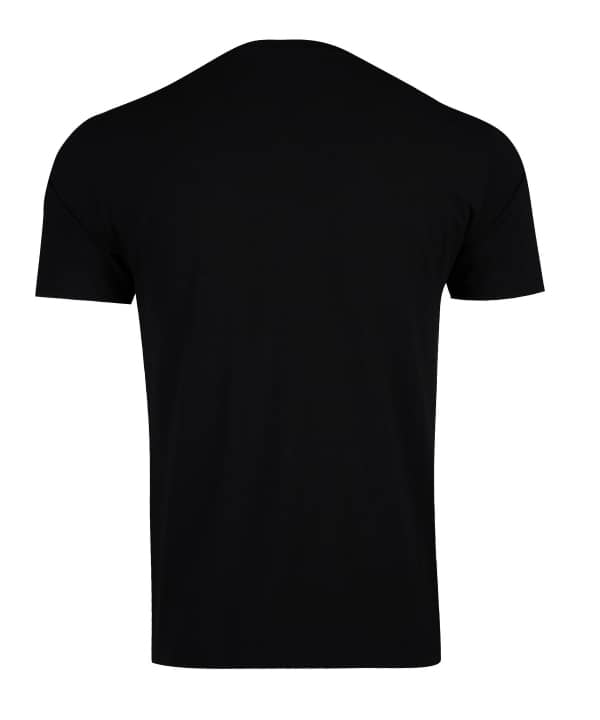 تیشرت طرح دار مردانه جین وست Jeanswest کد 22173029 - 1