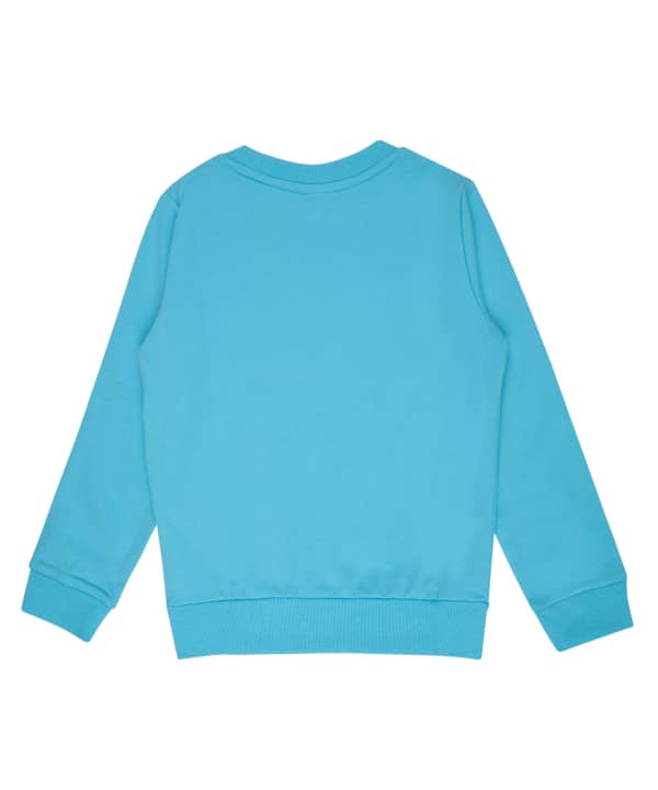 سویشرت پسرانه جین وست Jeanswest کد 11571501 - 1