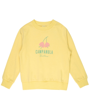 product-color